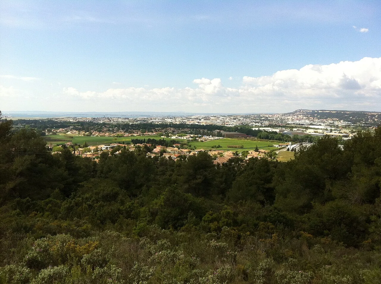 Panorama sur Saint-Victoret et ses environs depuis une colline boisée